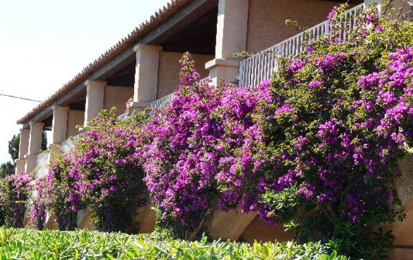Location de vacances - Studio à Hyères