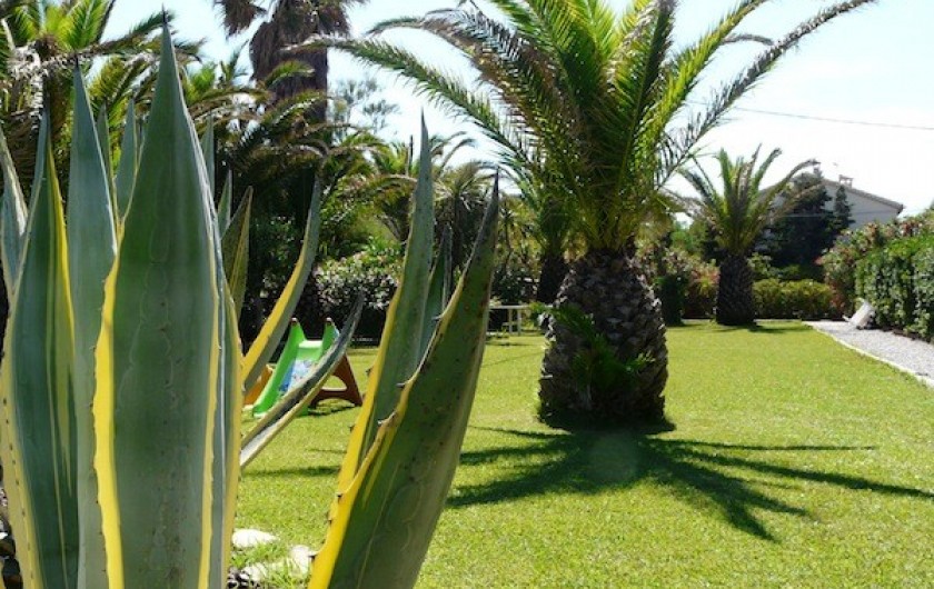 Location de vacances - Studio à Hyères