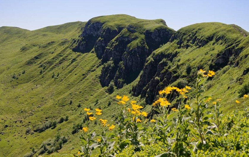 Location de vacances - Villa à Valuéjols - Puy Mary