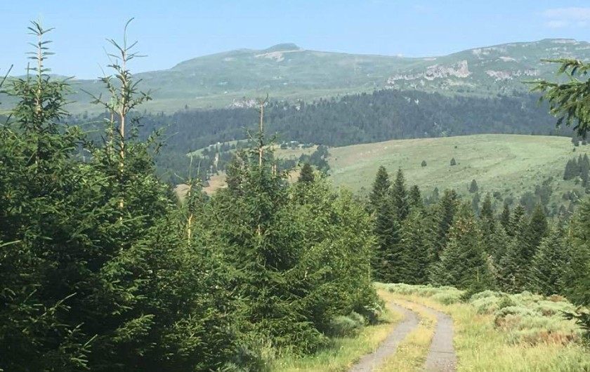 Location de vacances - Villa à Valuéjols - Vue sur le Plomb du Cantal (1855m)