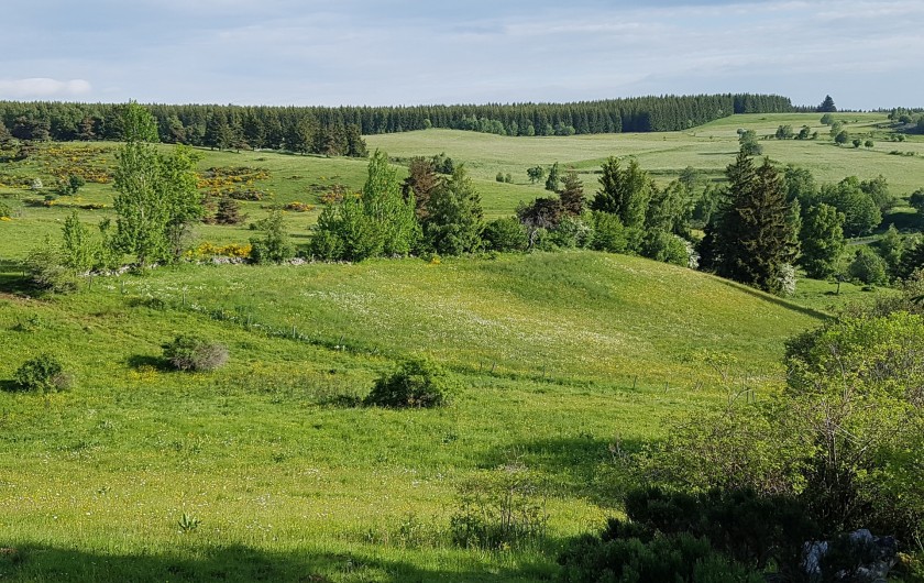 Location de vacances - Villa à Valuéjols - Paysage autour du village
