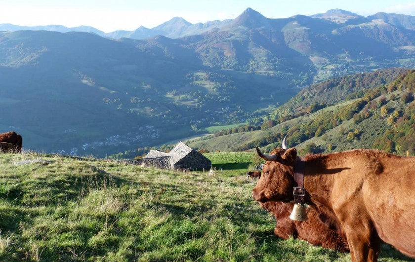 Location de vacances - Villa à Valuéjols - Vue sur le Puy Griou