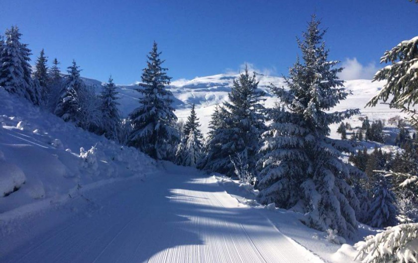 Location de vacances - Villa à Valuéjols - Piste derrière dans la forêt derrière le village