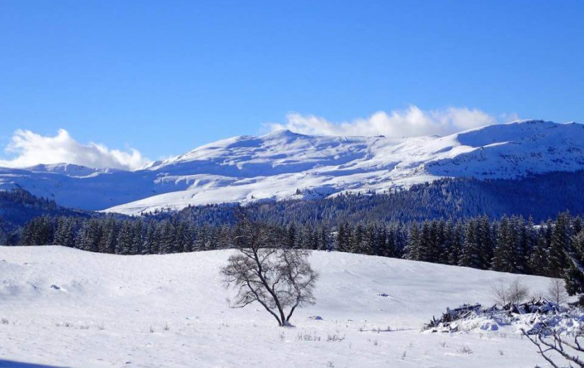 Location de vacances - Villa à Valuéjols - Massif du plomb du Cantal