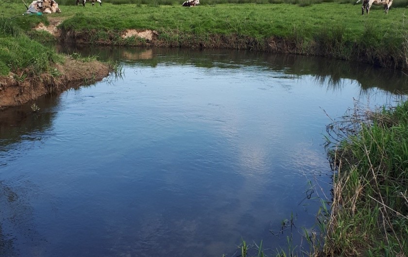 Location de vacances - Appartement à Marchésieux