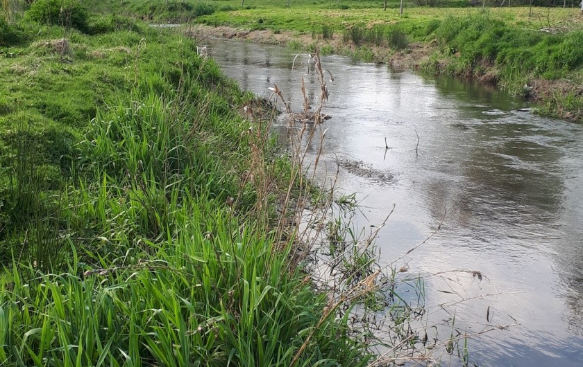 Location de vacances - Appartement à Marchésieux