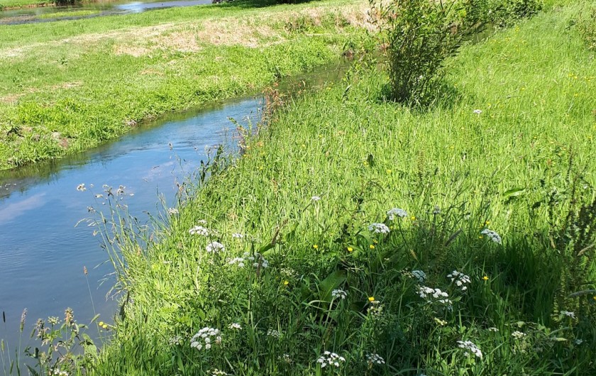 Location de vacances - Appartement à Marchésieux