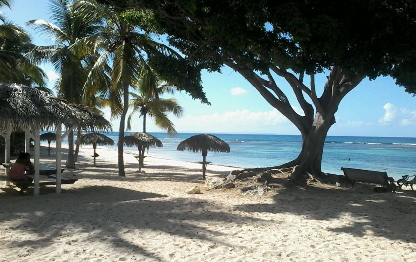 Location de vacances - Appartement à Saint-François