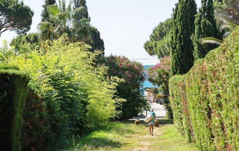 Location de vacances - Appartement à Cavalaire-sur-Mer