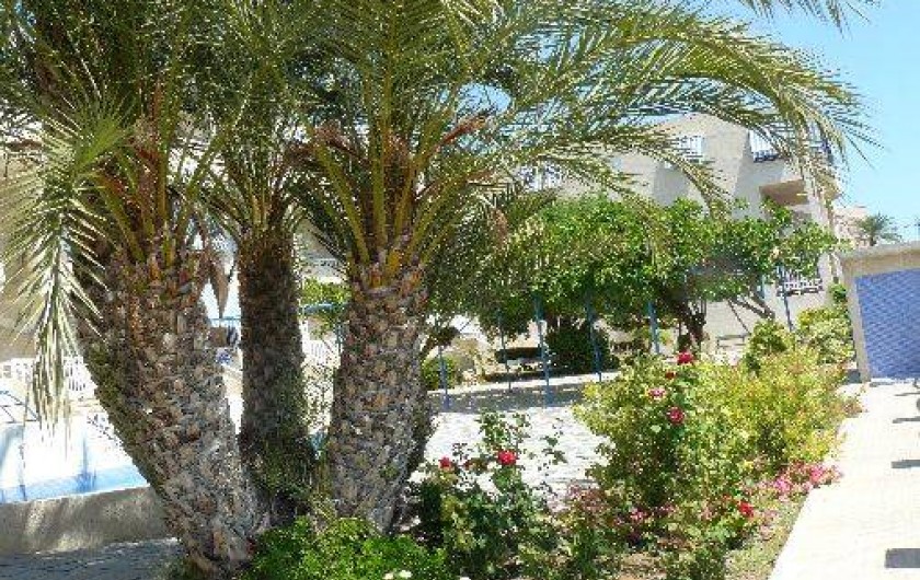 Location de vacances - Appartement à Santa Pola