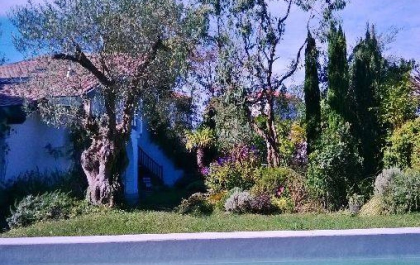 Location de vacances - Villa à Biarritz