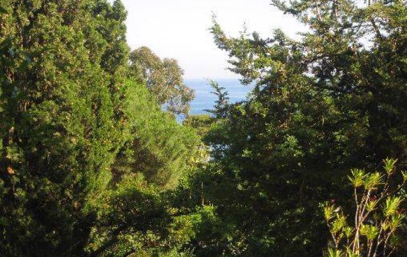 Location de vacances - Studio à Hyères