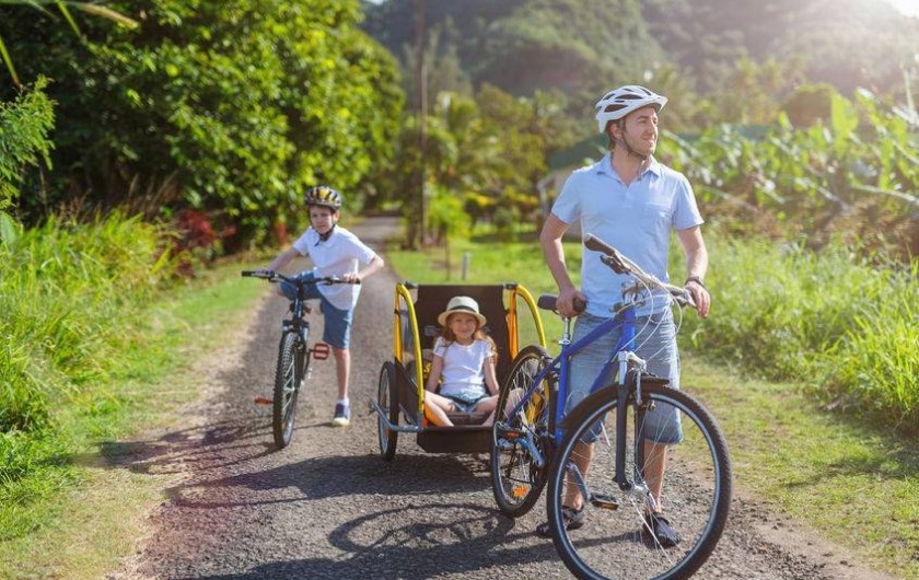 Location de vacances - Chambre d'hôtes à Tourouzelle