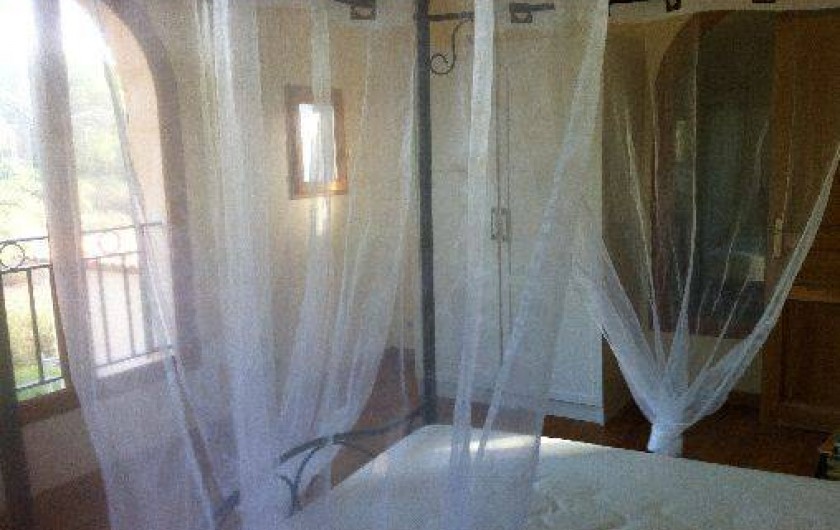 Location de vacances - Maison - Villa à Vidauban