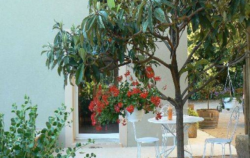 Location de vacances - Maison - Villa à Patrimonio