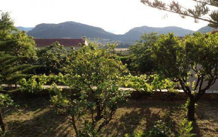 Location de vacances - Maison - Villa à Patrimonio