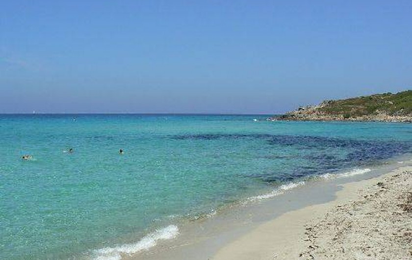 Location de vacances - Maison - Villa à Patrimonio