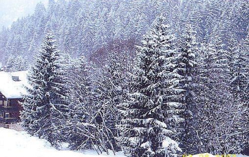 Location de vacances - Appartement à Châtel