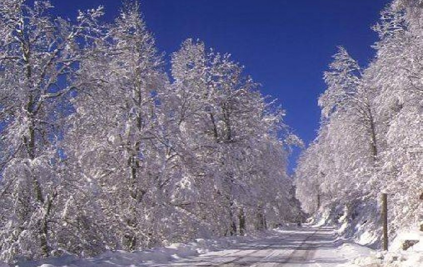 Location de vacances - Chalet à Carcanières