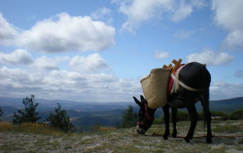 Location de vacances - Gîte à Saint-André-de-Lancize