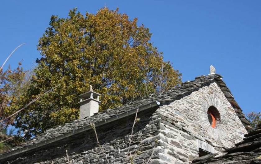 Location de vacances - Gîte à Saint-André-de-Lancize