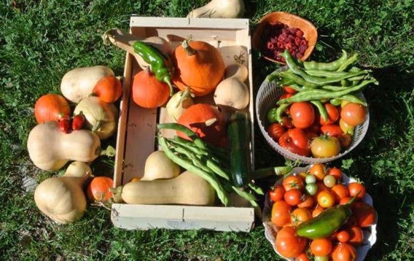 Location de vacances - Gîte à Saint-André-de-Lancize