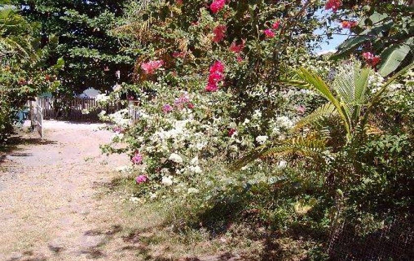 Location de vacances - Appartement à Le Diamant