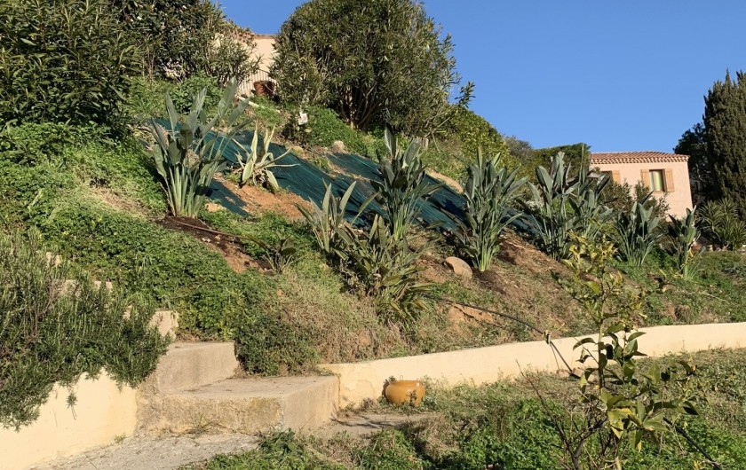 Location de vacances - Villa à Cagnes-sur-Mer - Lower garden