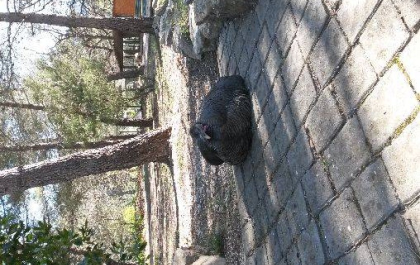 Location de vacances - Villa à Allauch