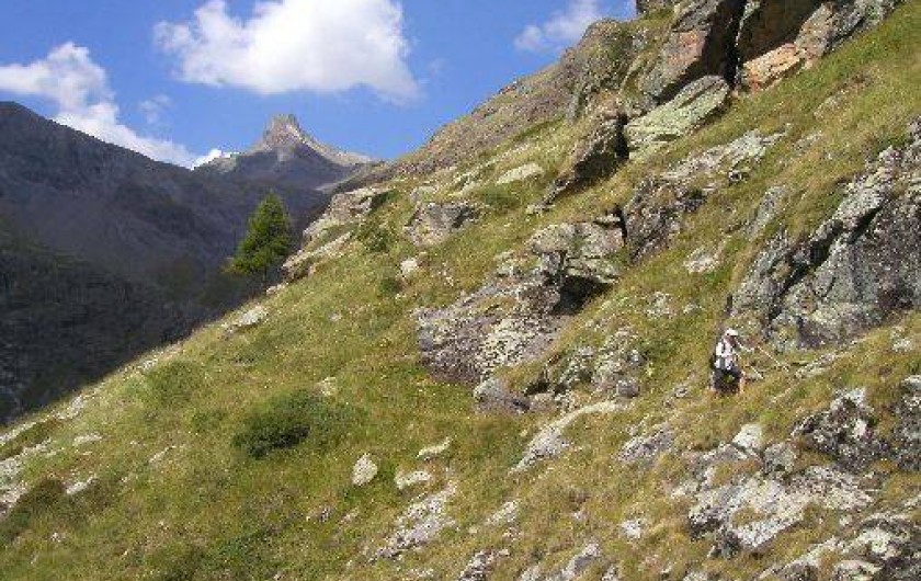 Location de vacances - Chalet à Saint-Jean-Saint-Nicolas