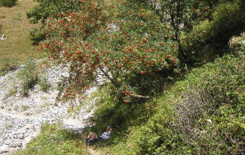 Location de vacances - Chalet à Saint-Jean-Saint-Nicolas