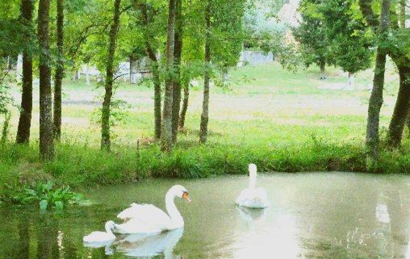Location de vacances - Villa à Châteauneuf-Grasse