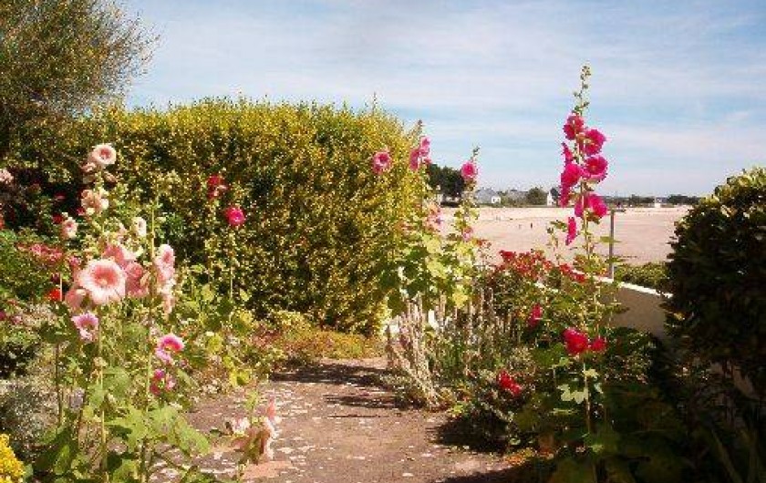 Location de vacances - Villa à Gâvres