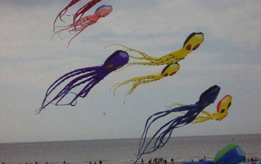 Location de vacances - Gîte à Amiens