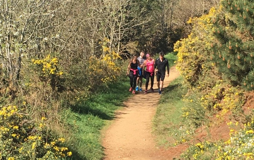 Location de vacances - Maison - Villa à Plouha