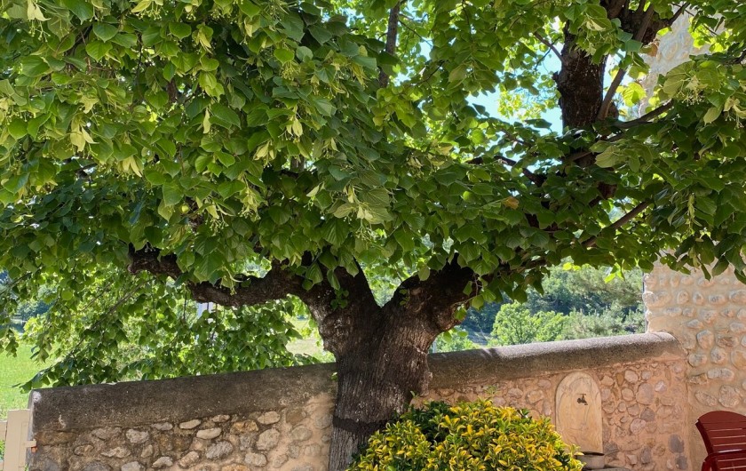 Location de vacances - Maison - Villa à Saint-Jeannet