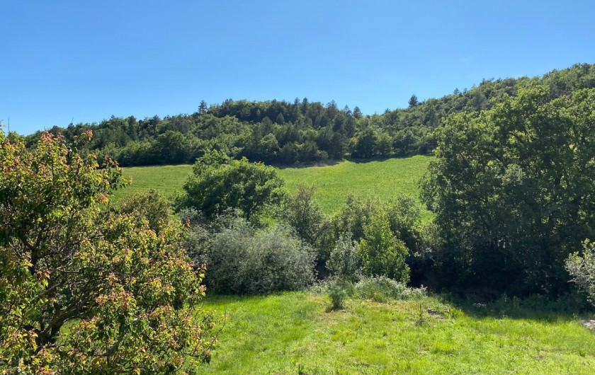 Location de vacances - Maison - Villa à Saint-Jeannet