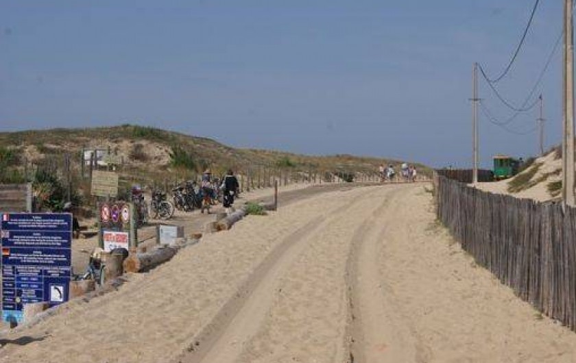 Location de vacances - Appartement à Le Cap Ferret