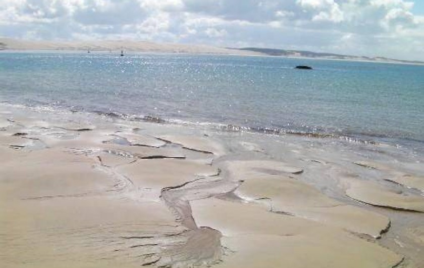 Location de vacances - Appartement à Le Cap Ferret