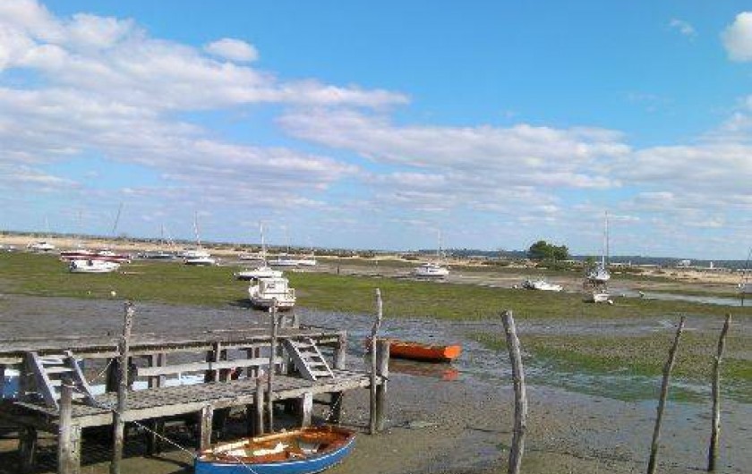 Location de vacances - Appartement à Le Cap Ferret