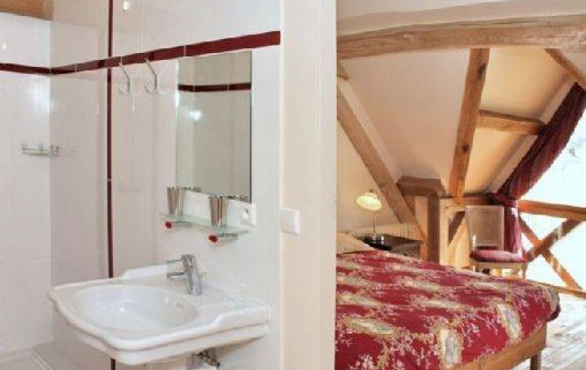 Location de vacances - Château - Manoir à Monthou-sur-Cher