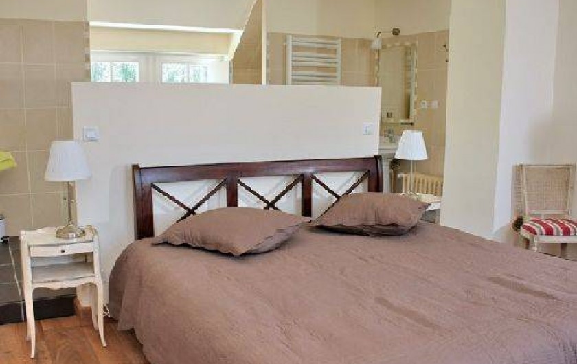 Location de vacances - Château - Manoir à Monthou-sur-Cher