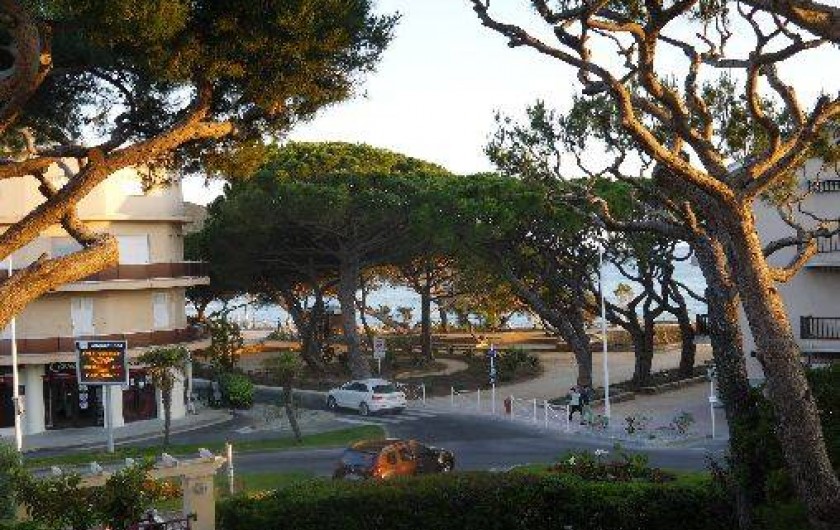 Location de vacances - Appartement à Saint-Cyr-sur-Mer