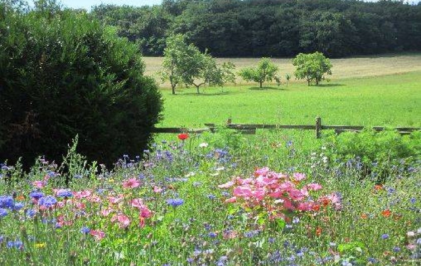 Location de vacances - Gîte à Brosses