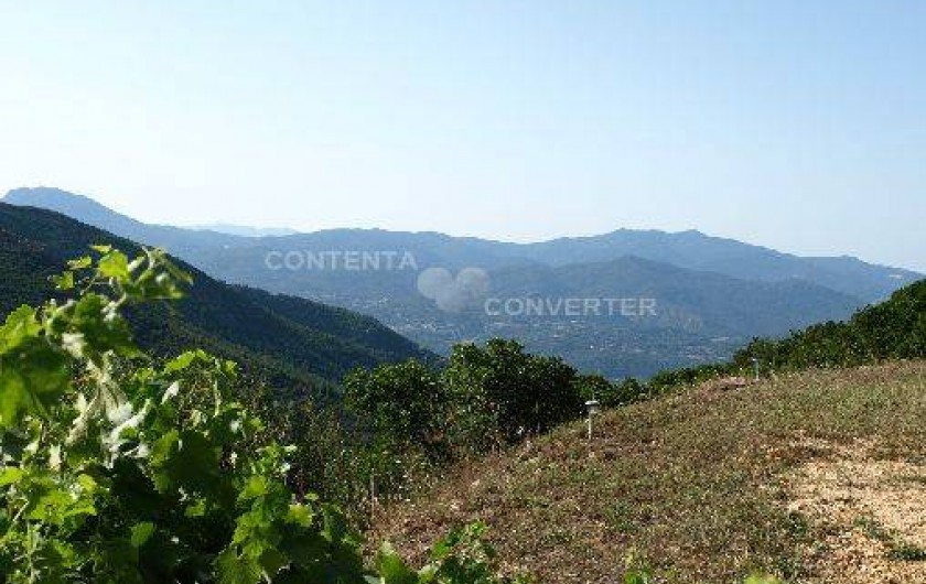 Location de vacances - Chambre d'hôtes à Cuttoli-Corticchiato - autour de la maison