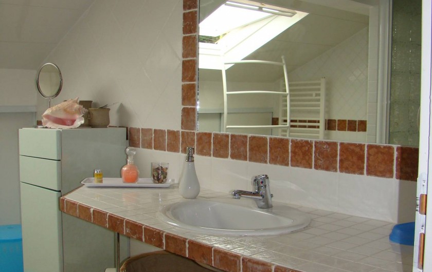 Location de vacances - Chambre d'hôtes à Cuttoli-Corticchiato - salle d'eau