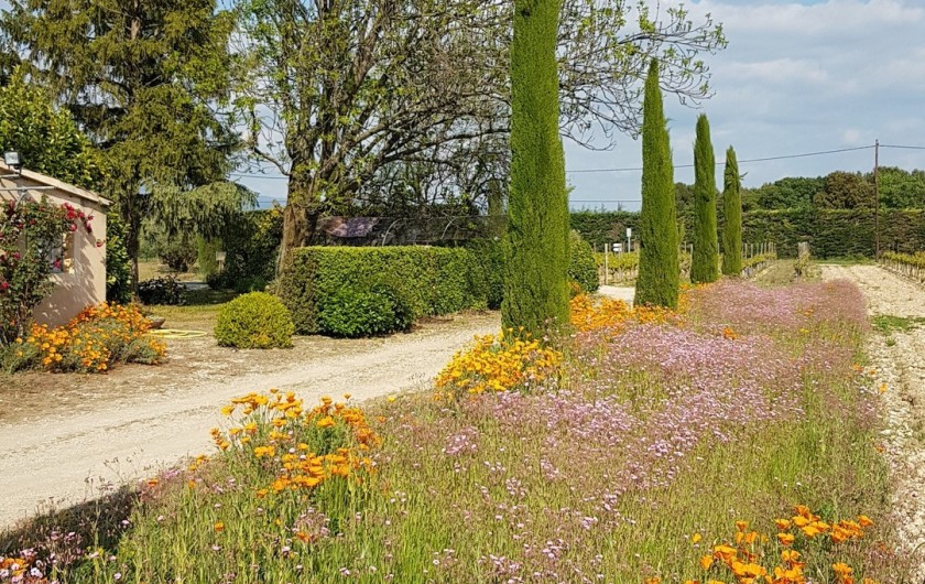 Location de vacances - Gîte à Mazan - Allée du gîte