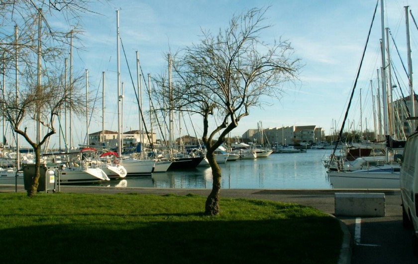 Location de vacances - Appartement à Frontignan - PORT