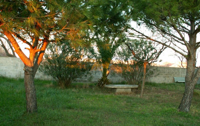 Location de vacances - Appartement à Frontignan - BB CUL DANS TERRAIN