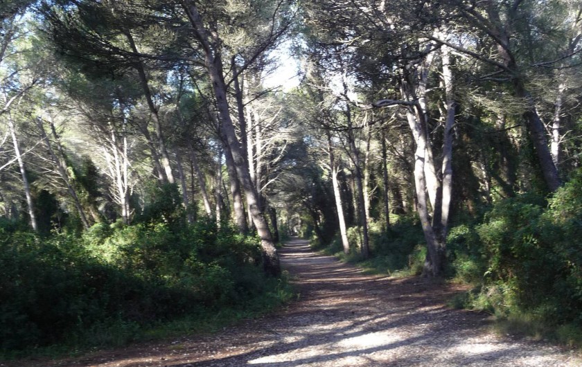 Location de vacances - Appartement à Frontignan - BOIS DES ARESQUIERS A PROXIMITE